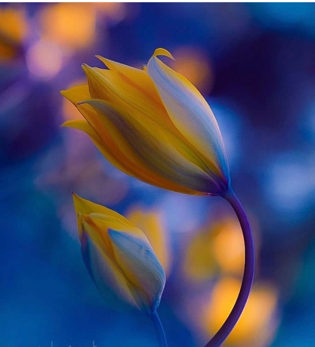 An “HONEST” Conversation