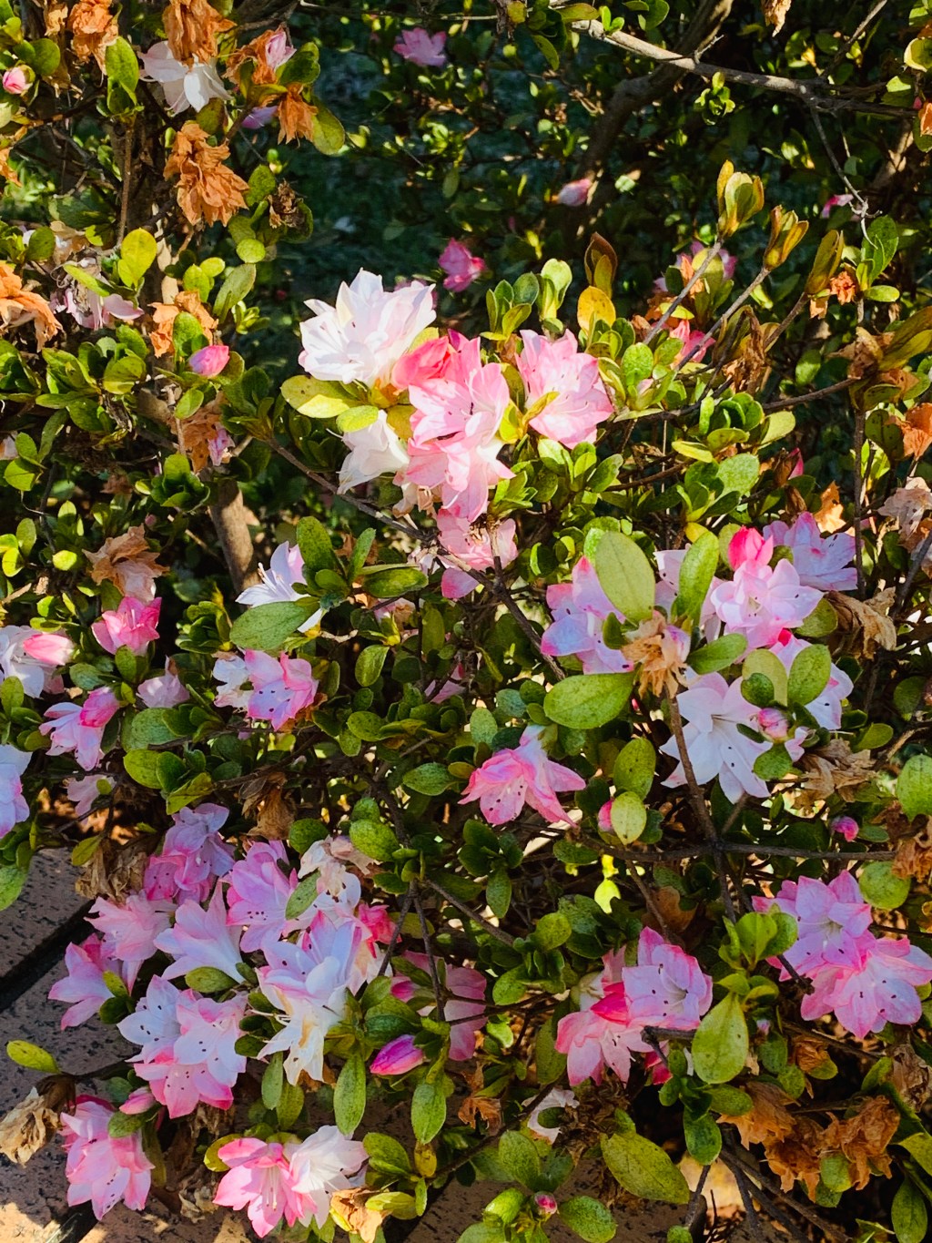 You’re never Alone!